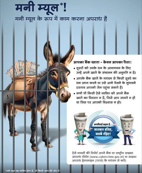 What is a money mule account