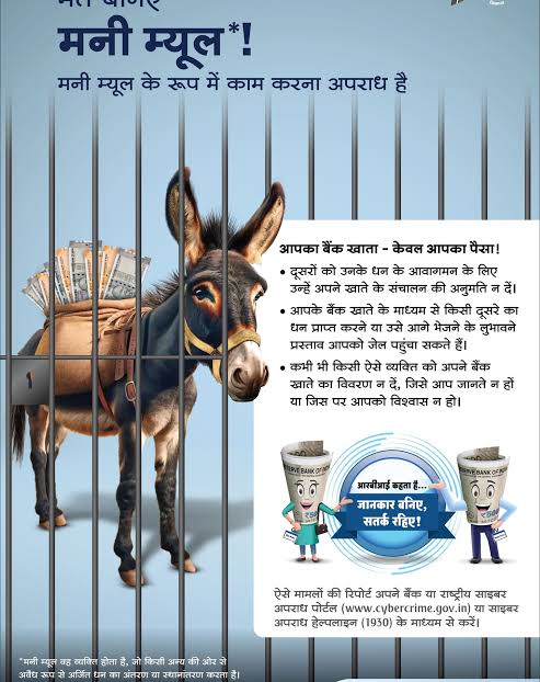 What is a money mule account