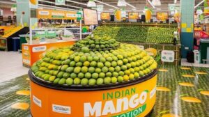 Mango Diplomacy: The Indian Embassy and APEDA organized a promotional event for Indian mangoes in Iceland for the first time.