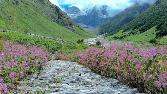 Valley of Flowers Now Open: The magic of colors is set to bloom once again in the valleys of Uttarakhand! The tourism season has officially commenced at Chamoli's 'Valley of Flowers'—allowing tourists to revel in this paradise-like spectacle until October.