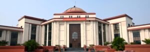 Maternity Leave: Major verdict by the Chhattisgarh High Court! Contractual, daily-wage, and guest female employees will also be entitled to maternity leave.