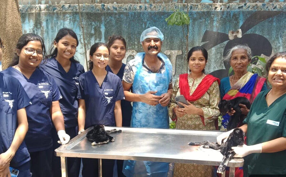 veterinary hospital