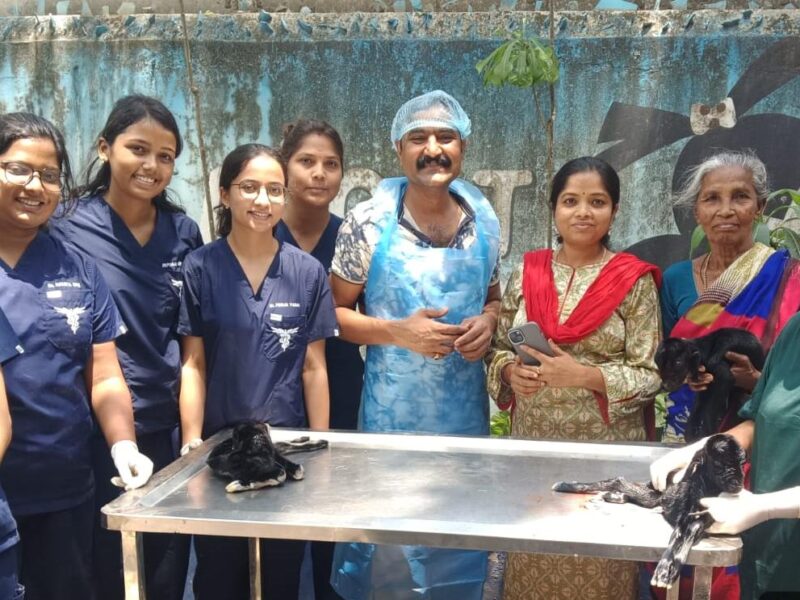 veterinary hospital
