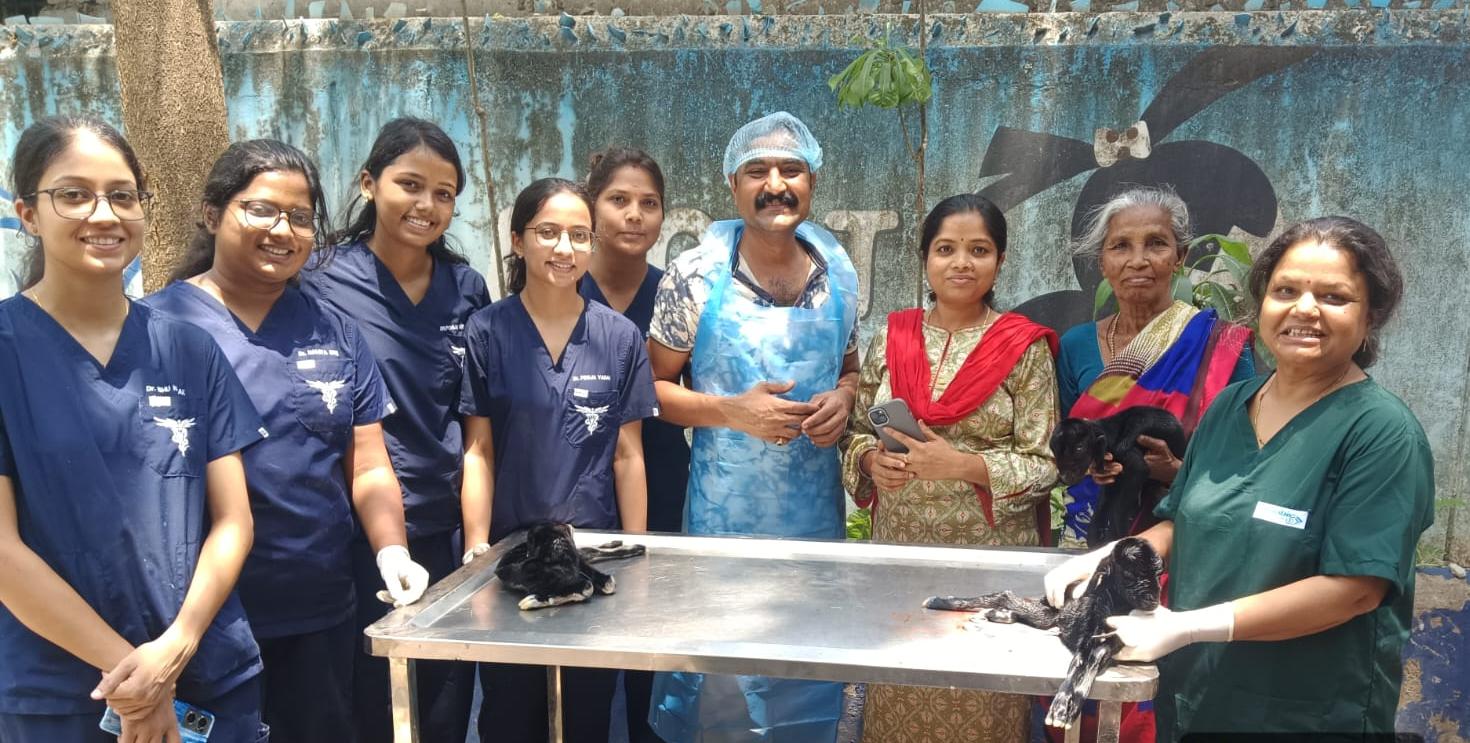 veterinary hospital