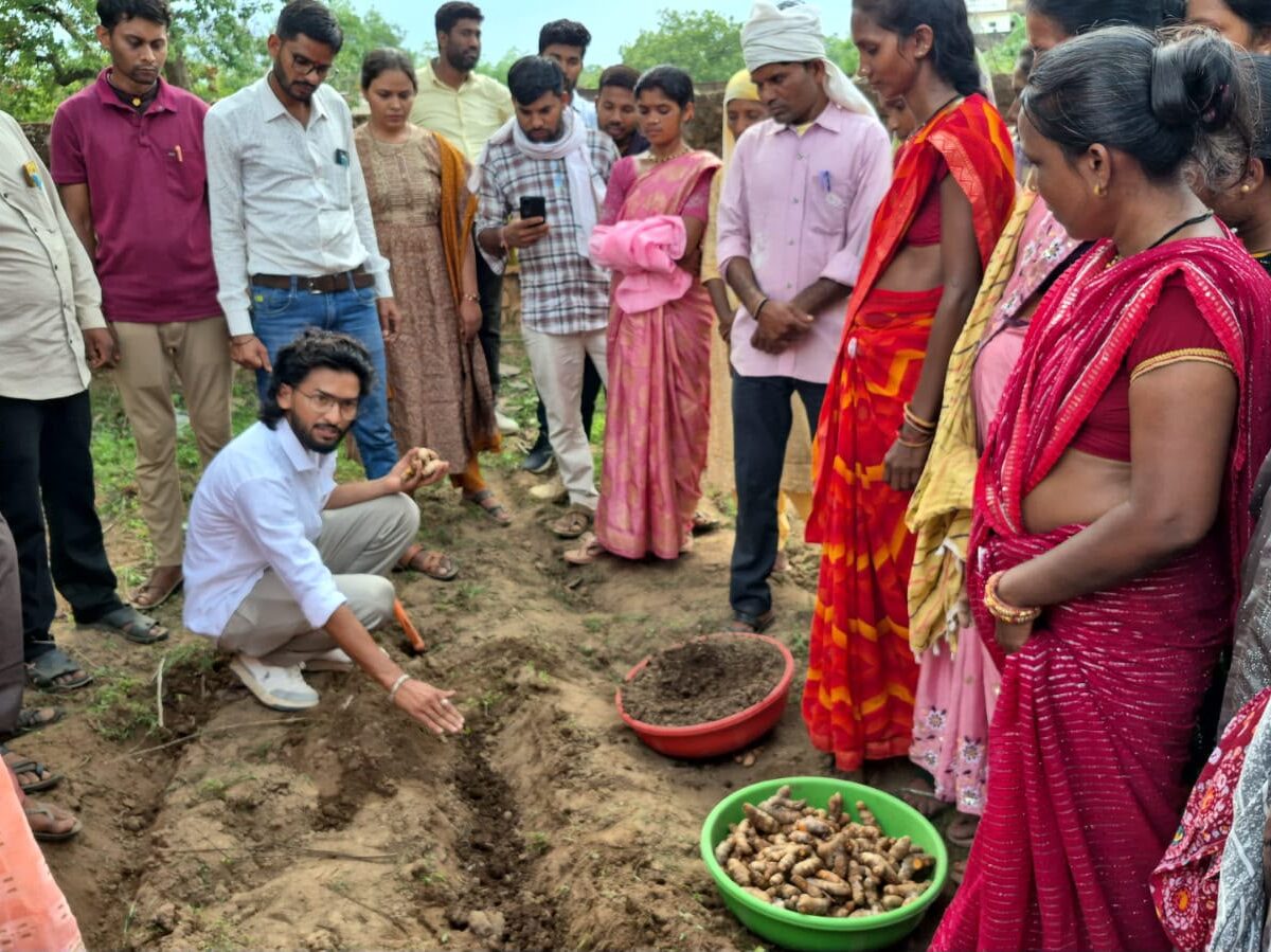 Dhamtari Turmeric Hub: Nagri in Dhamtari set to become Chhattisgarh's new turmeric hub! 250 farmers have set a production target of 250 tonnes.