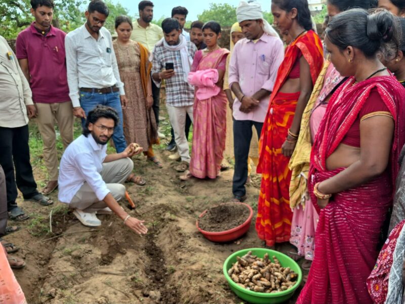 Dhamtari Turmeric Hub: Nagri in Dhamtari set to become Chhattisgarh's new turmeric hub! 250 farmers have set a production target of 250 tonnes.