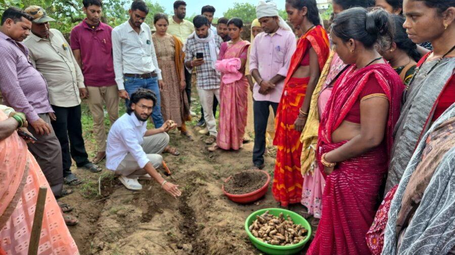 Dhamtari Turmeric Hub: Nagri in Dhamtari set to become Chhattisgarh's new turmeric hub! 250 farmers have set a production target of 250 tonnes.