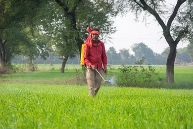 Chhattisgarh