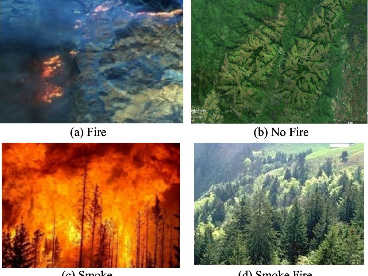Chhattisgarh's Automated Forest Fire Alert System