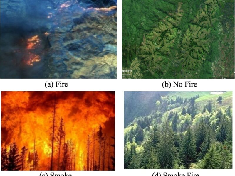 Chhattisgarh's Automated Forest Fire Alert System