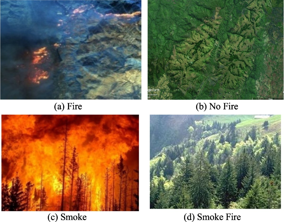 Chhattisgarh's Automated Forest Fire Alert System