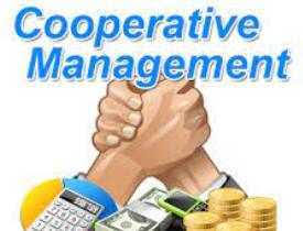 Cooperative Management