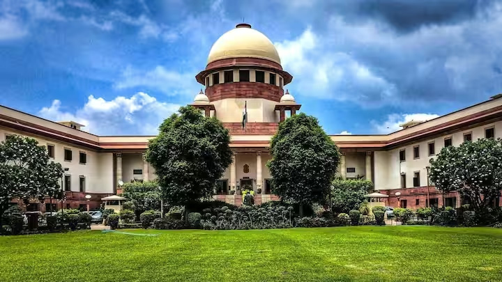 Court proceedings videos