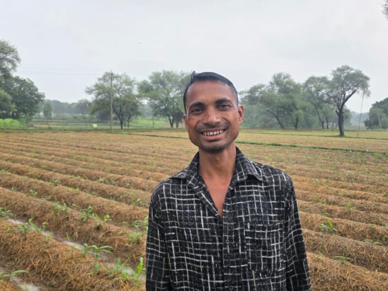"Cultivating ginger instead of paddy