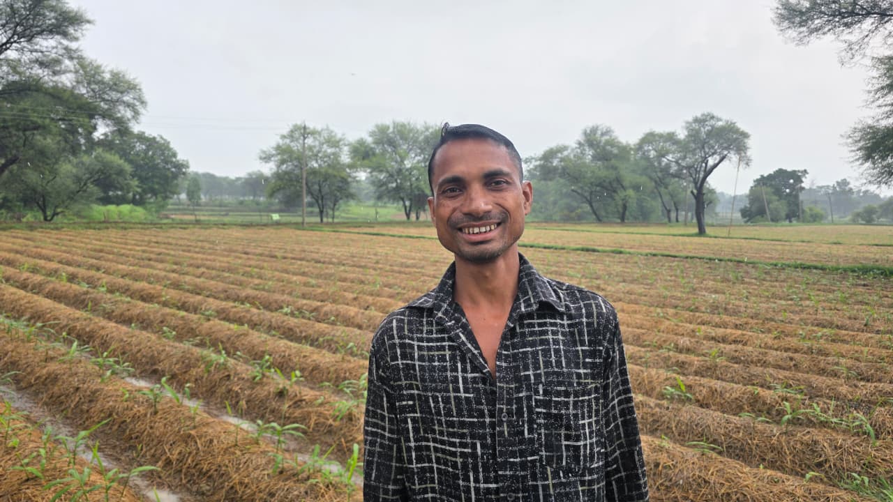 "Cultivating ginger instead of paddy