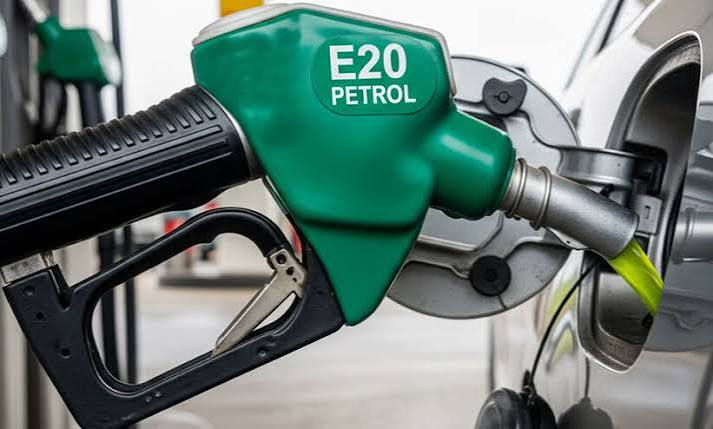 E20 Petrol Survey