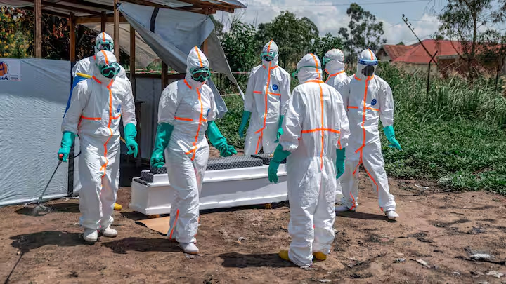 Ebola virus