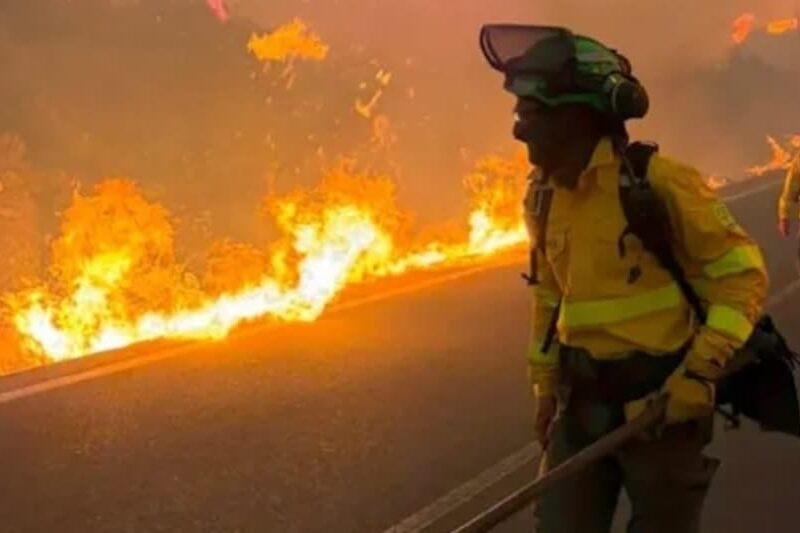Fierce forest fire in Almería