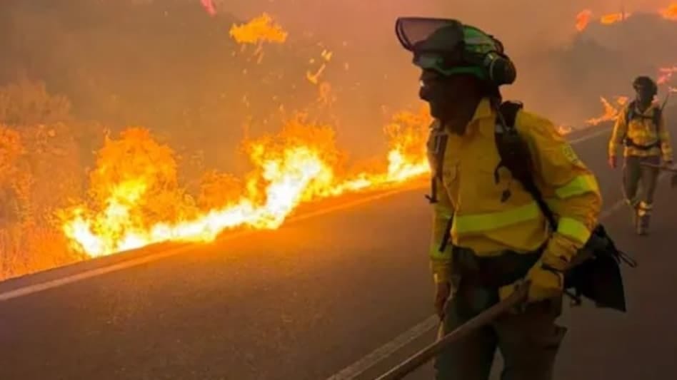 Fierce forest fire in Almería