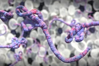 First human vaccine trial