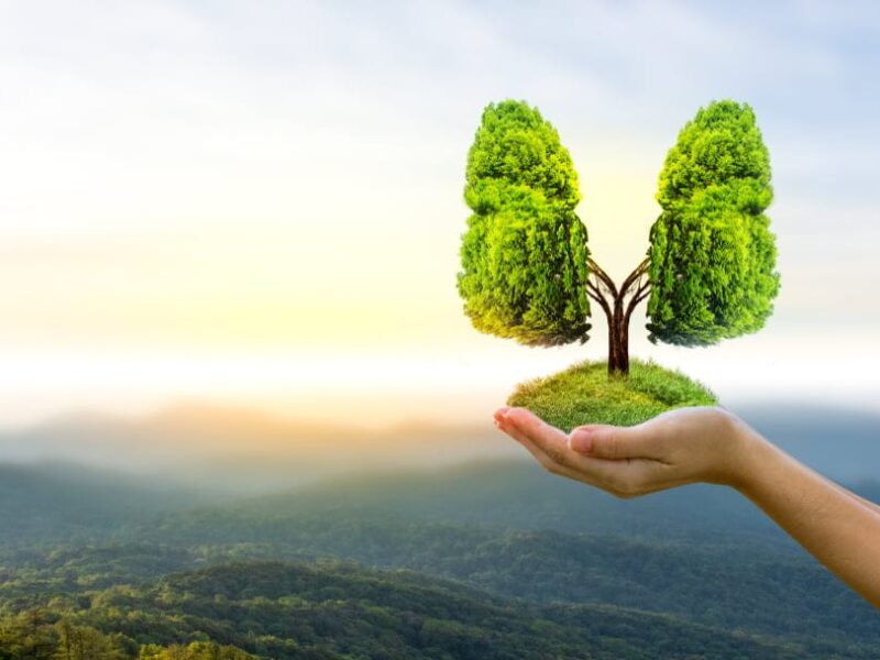 Focus on clean air