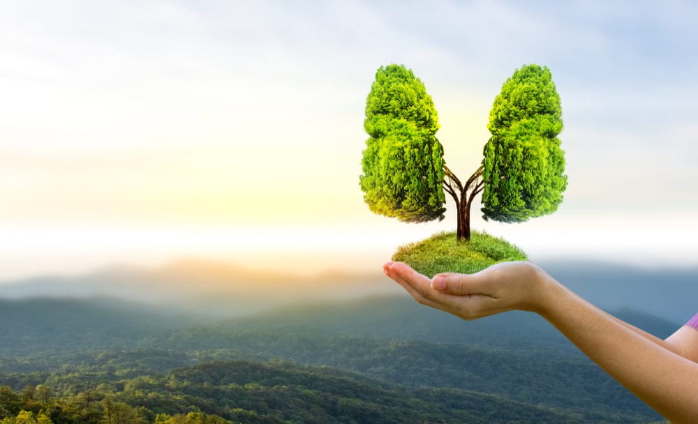 Focus on clean air