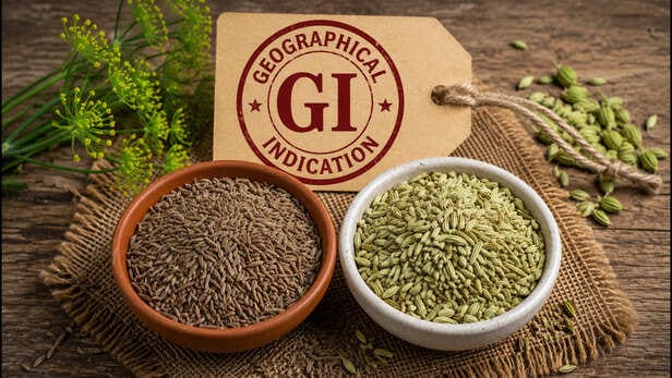 GI Tag