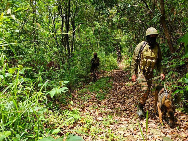 Major operation by security forces in Manipur