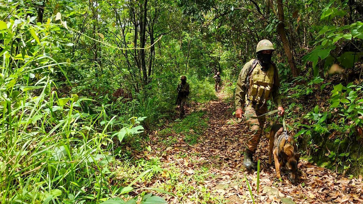 Major operation by security forces in Manipur