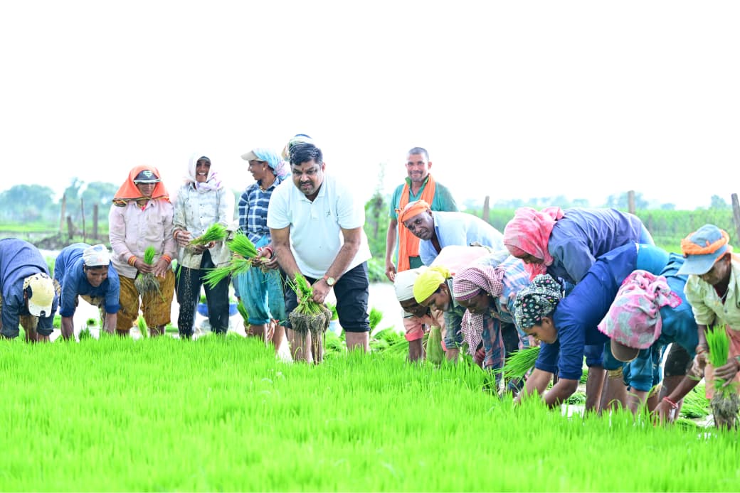 Paddy Transplanting