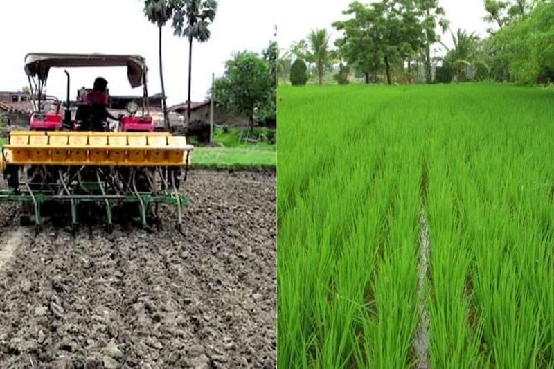 Scanty and Deficit Rainfall