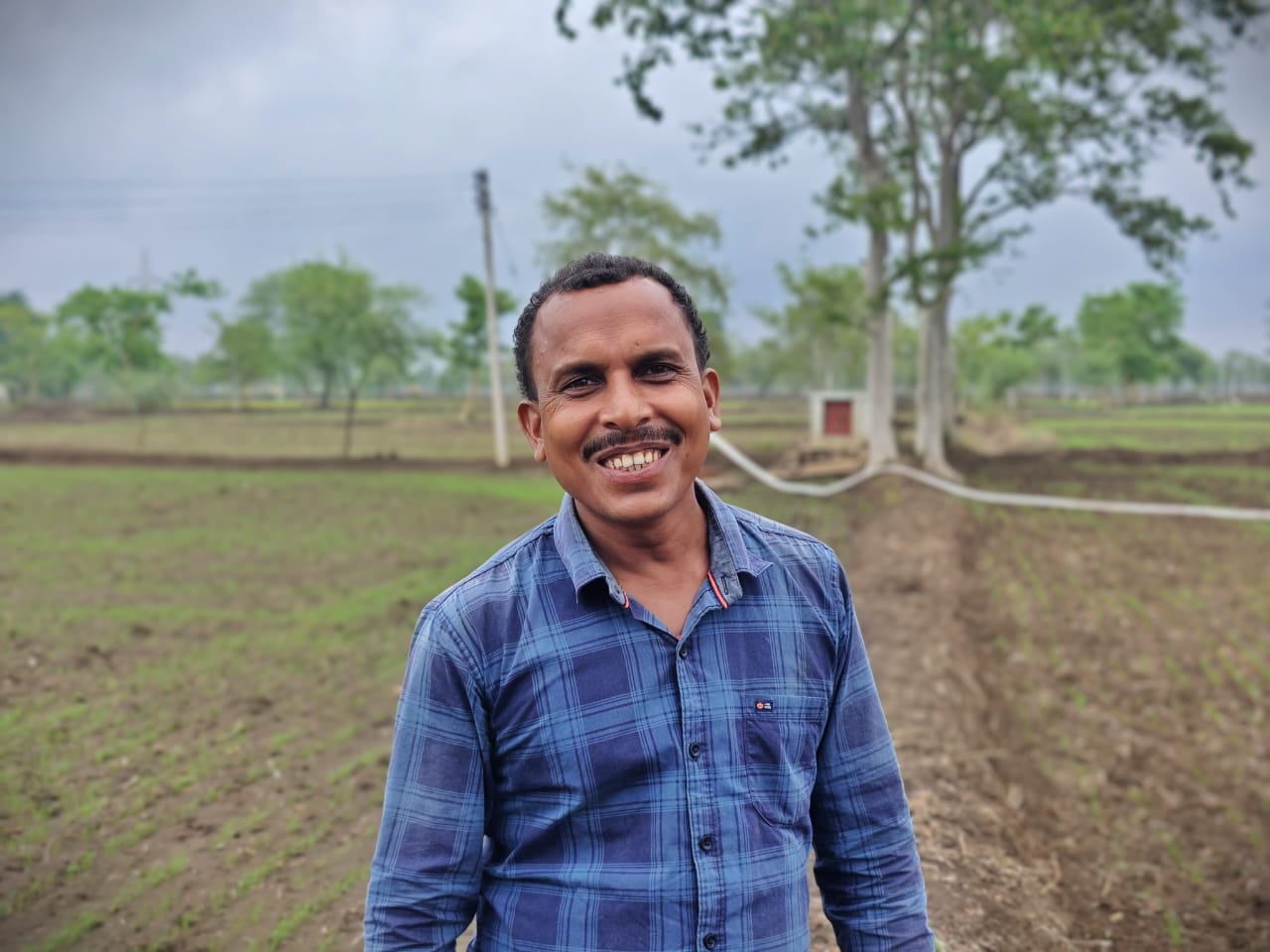 Seed drill technology