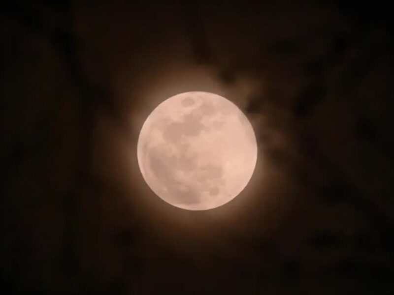 Strawberry Moon