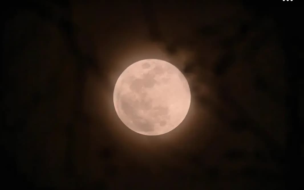 Strawberry Moon