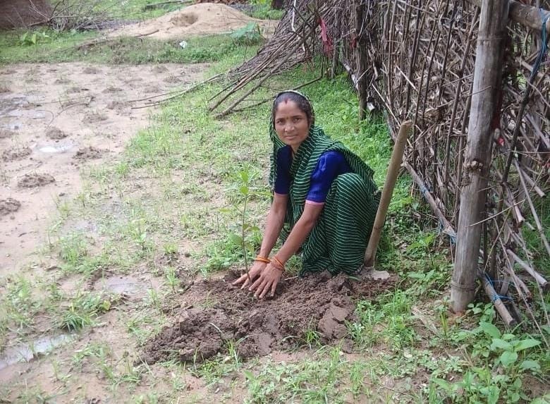 Catch the Rain: A pledge made, and 20,000 saplings planted in a single day—women of Koriya create green history!