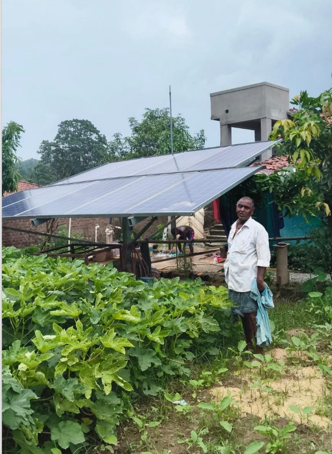 CM Helpline: Farmer gets immediate relief...! Greenery returns to withering fields as the solar pump starts running.
