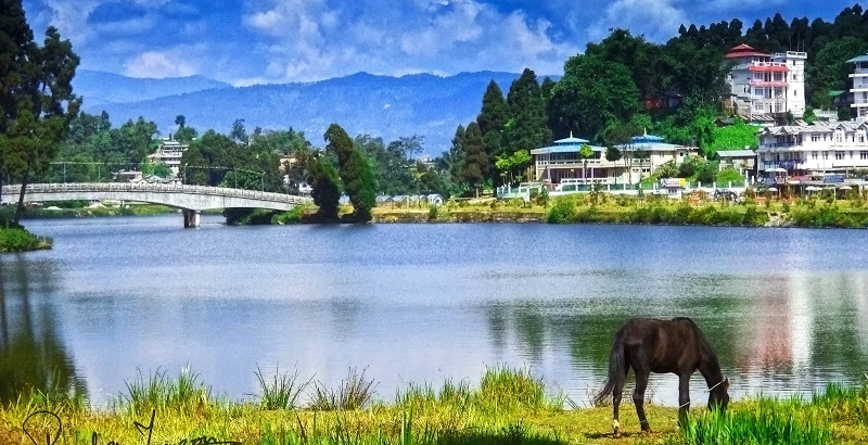Hill Station Travel India: Mirik, Darjeeling...! A top choice for tourists—a wonderful blend of a lake, tea gardens, and the Himalayas.