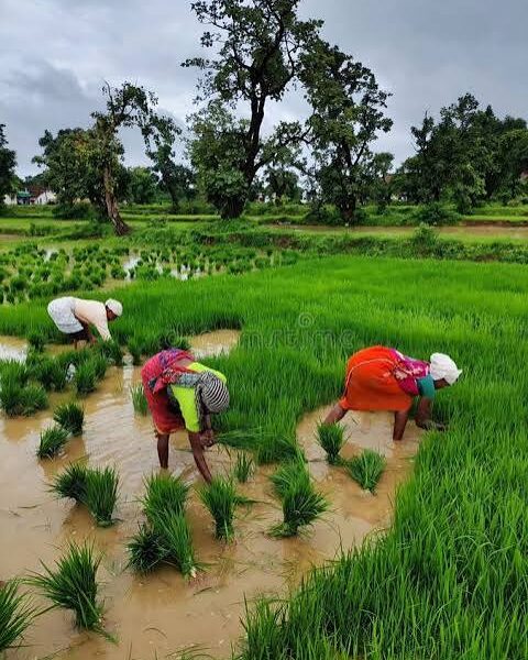 agricultural scientists