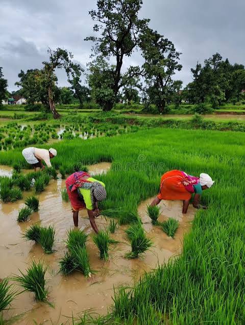 agricultural scientists