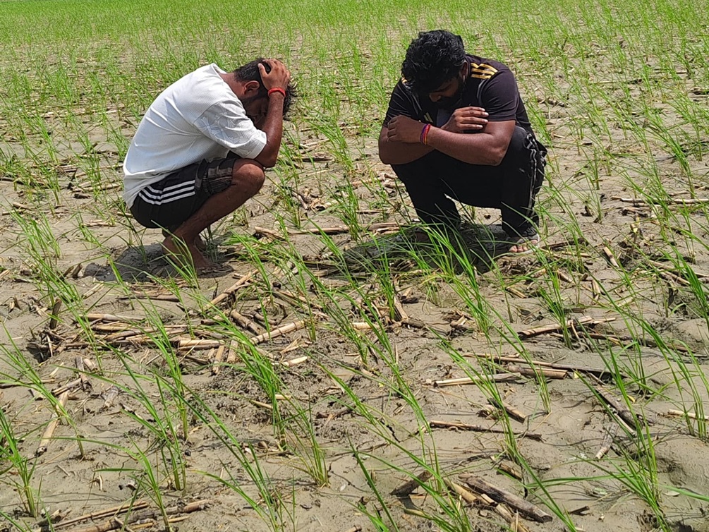 Lightning Strike: Lightning strikes with fatal force during farm planting... 3 laborers die on the spot... Mourning in the village.