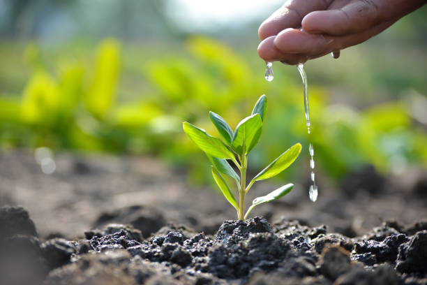 Environment: A massive campaign for environmental conservation...! Union Agriculture Minister to interact with 17,000 'Tree Friends' at Pusa.