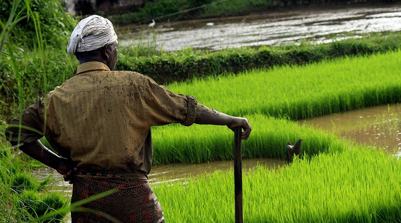 Water Conservation: Increase the acreage of low-water, short-duration crops: Chief Minister