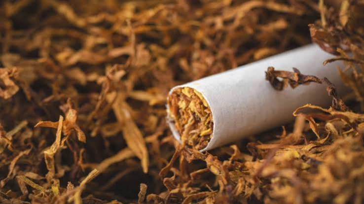 tobacco