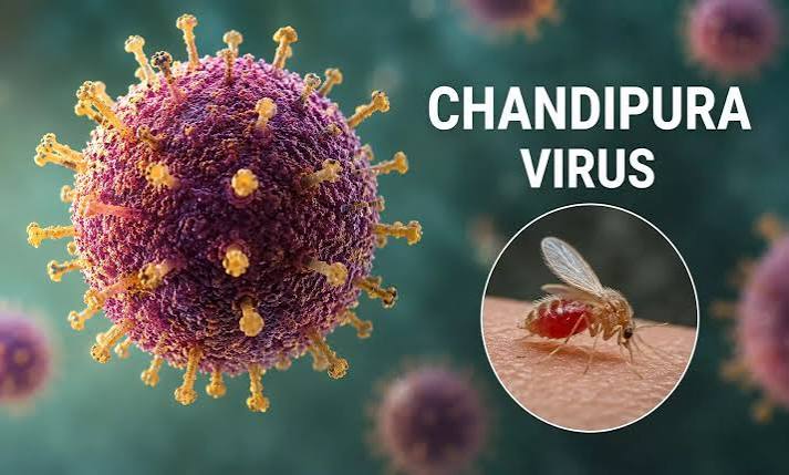 Chandipura virus