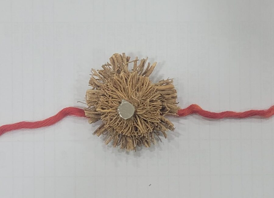 Vetiver Rakhi: A Rakhi that releases its fragrance the moment a drop of water touches it...! Unique Rakhis made from Vetiver (Khus) will spread their scent on brothers' wrists.