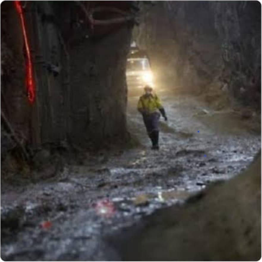 Gold Mine