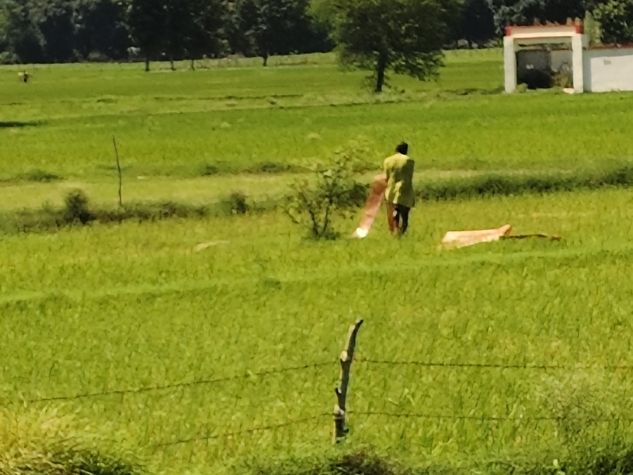 Rainfall Deficit: Monsoon brings major relief...! The crisis looming over Kharif crops has been averted; the rainfall deficit has dropped from 35% to 12.6%.