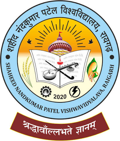 Raigarh University