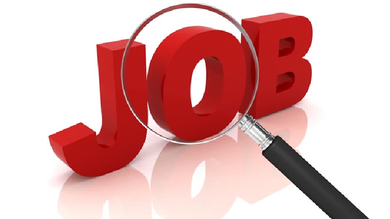 CGSSB Recruitment 2026: Chhattisgarh Staff Selection Board to recruit for 295 posts in the Home Guard, Fire, and SDRF departments...! Find full details here.