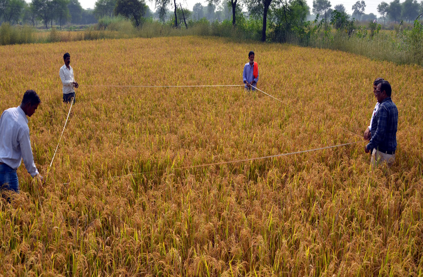 Agriculture Training: Accurate Assessment of Farming Costs – Two-Day Training in Raipur